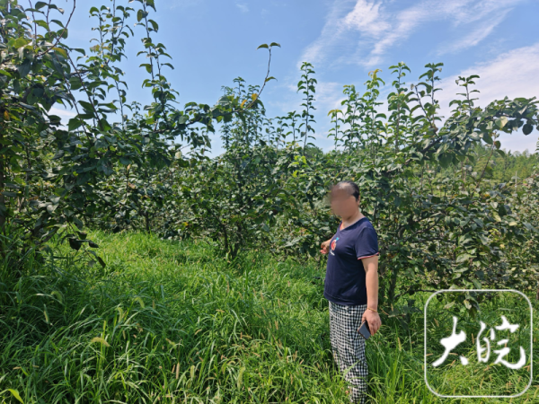 实盘杠杆平台 南陵警方破获富硒梨盗窃案 两人被行政拘留